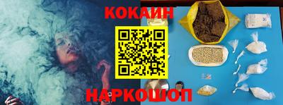 шишки Заволжье