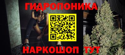 шишки Заволжье