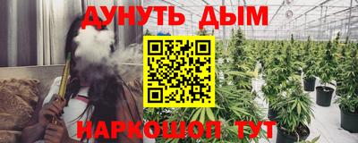 шишки Заволжье