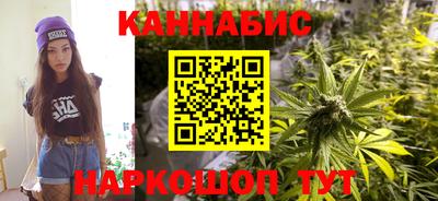 шишки Заволжье