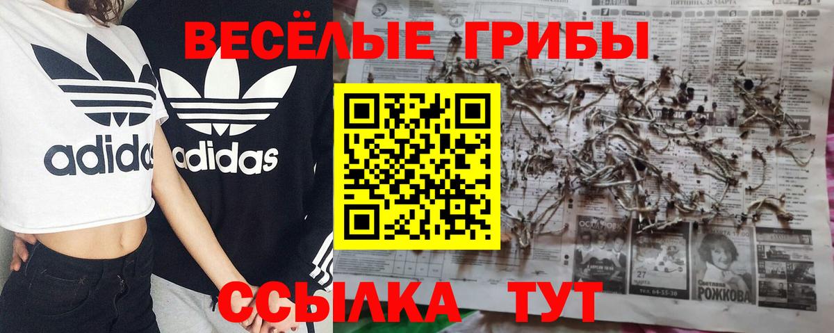 Псилоцибиновые грибы Psilocybine cubensis  Вход с VPN  Дюртюли  Галлюциногенные грибы Magic Shrooms 